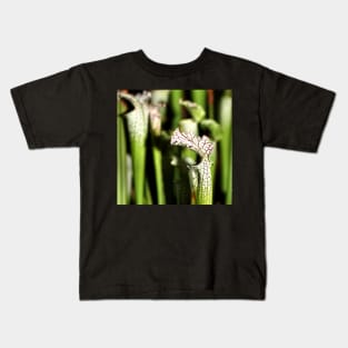 Pitcher Plants Kids T-Shirt